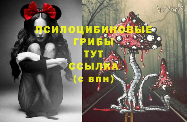 молекула духа Карталы